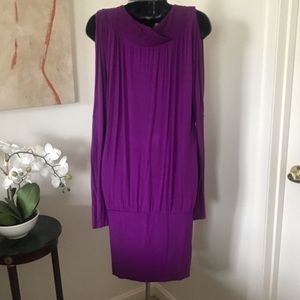 Express Cowl/Scoop Neck Dress